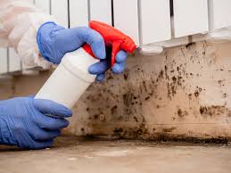 Best Real Estate Mold Inspection  in Solomons, MD